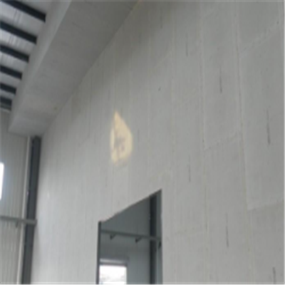 来宾宁波ALC板|EPS加气板隔墙与混凝土整浇联接的实验研讨